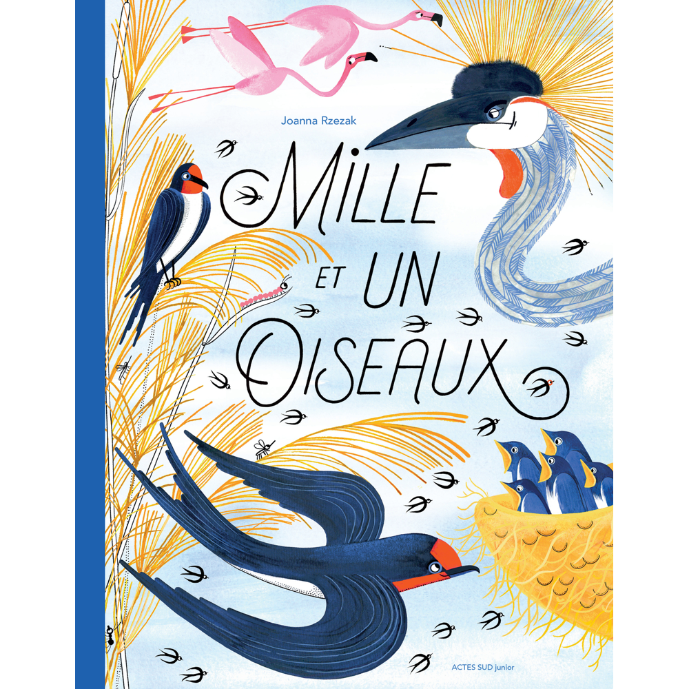 Mille et un oiseaux (Jeunesse)