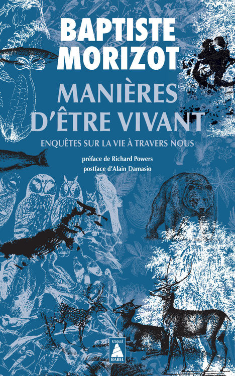 Manières d'être vivant - Enquêtes sur la vie à travers nous (Poche)