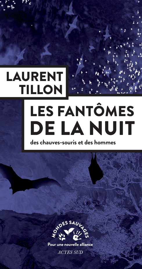 Les Fantômes de la nuit - Des chauves-souris et des hommes (Broché)