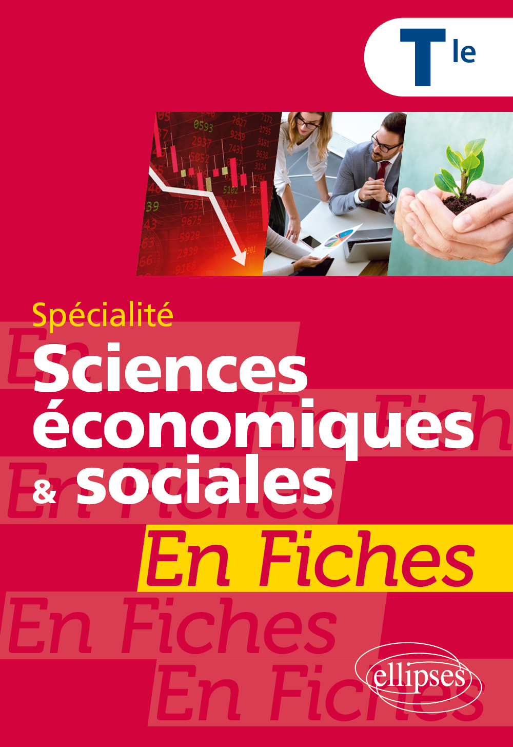 Spécialité Sciences économiques et sociales en fiches - Terminale (Broché)