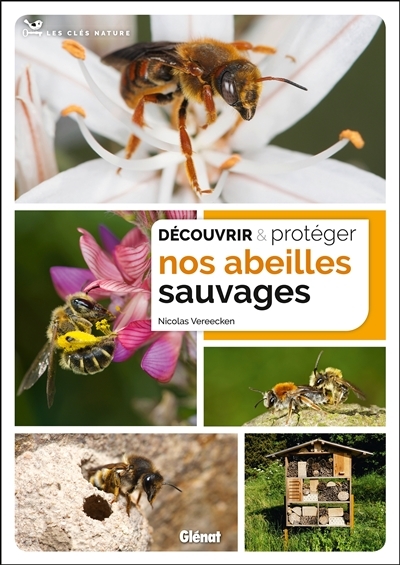 Découvrir et protéger nos abeilles sauvages (Broché)