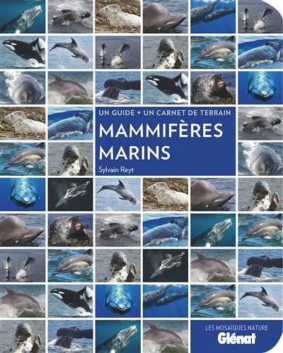 Mammifères marins (Broché)