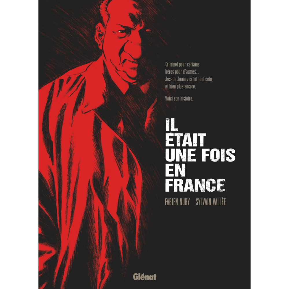 Il était une fois en France - Intégrale « roman graphique » (BD)