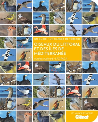 Oiseaux du littoral et des îles de Méditerranée (Broché)