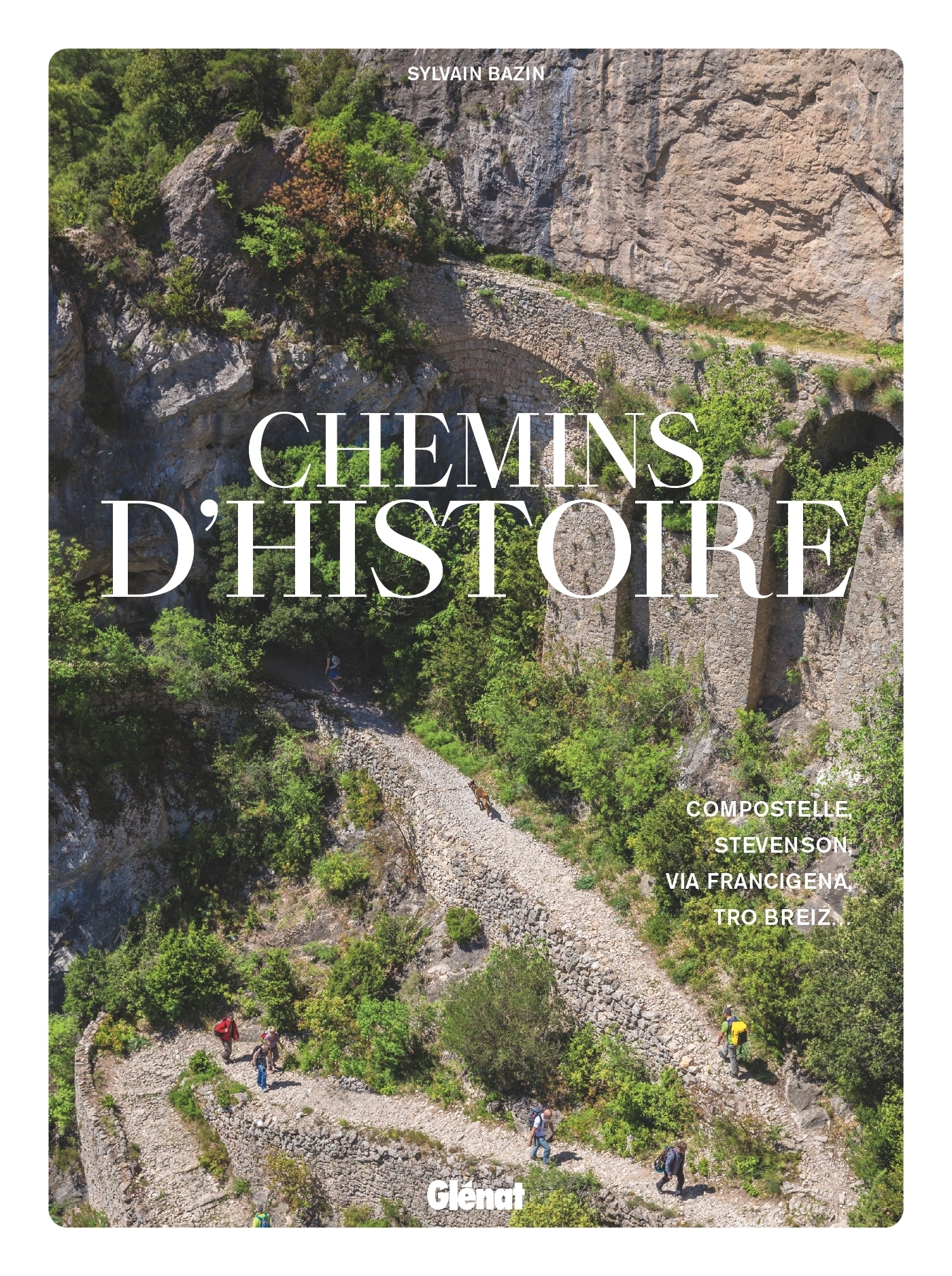 Chemins d'histoire - Compostelle, Stevenson, Via Francigena, Tro Breiz... (Cartonné)