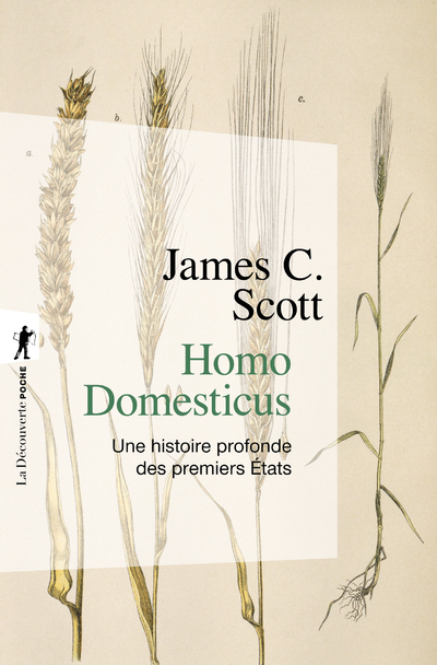 Homo domesticus - Une histoire profonde des premiers Etats (Poche)