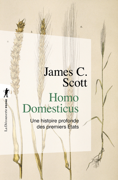 Homo domesticus - Une histoire profonde des premiers Etats (Poche)