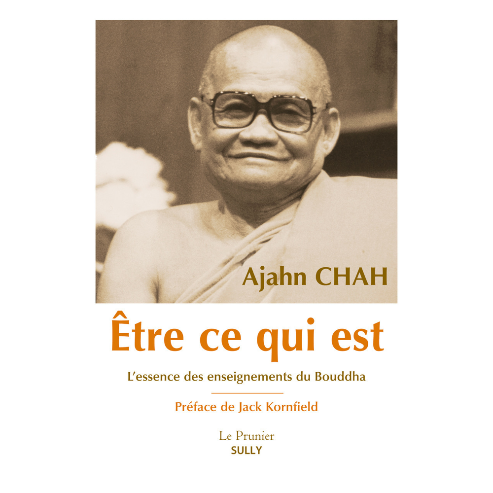 Être ce qui est - L'essence des enseignements de Bouddha (Broché)