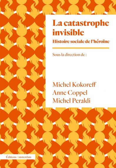La catastrophe invisible (Broché)