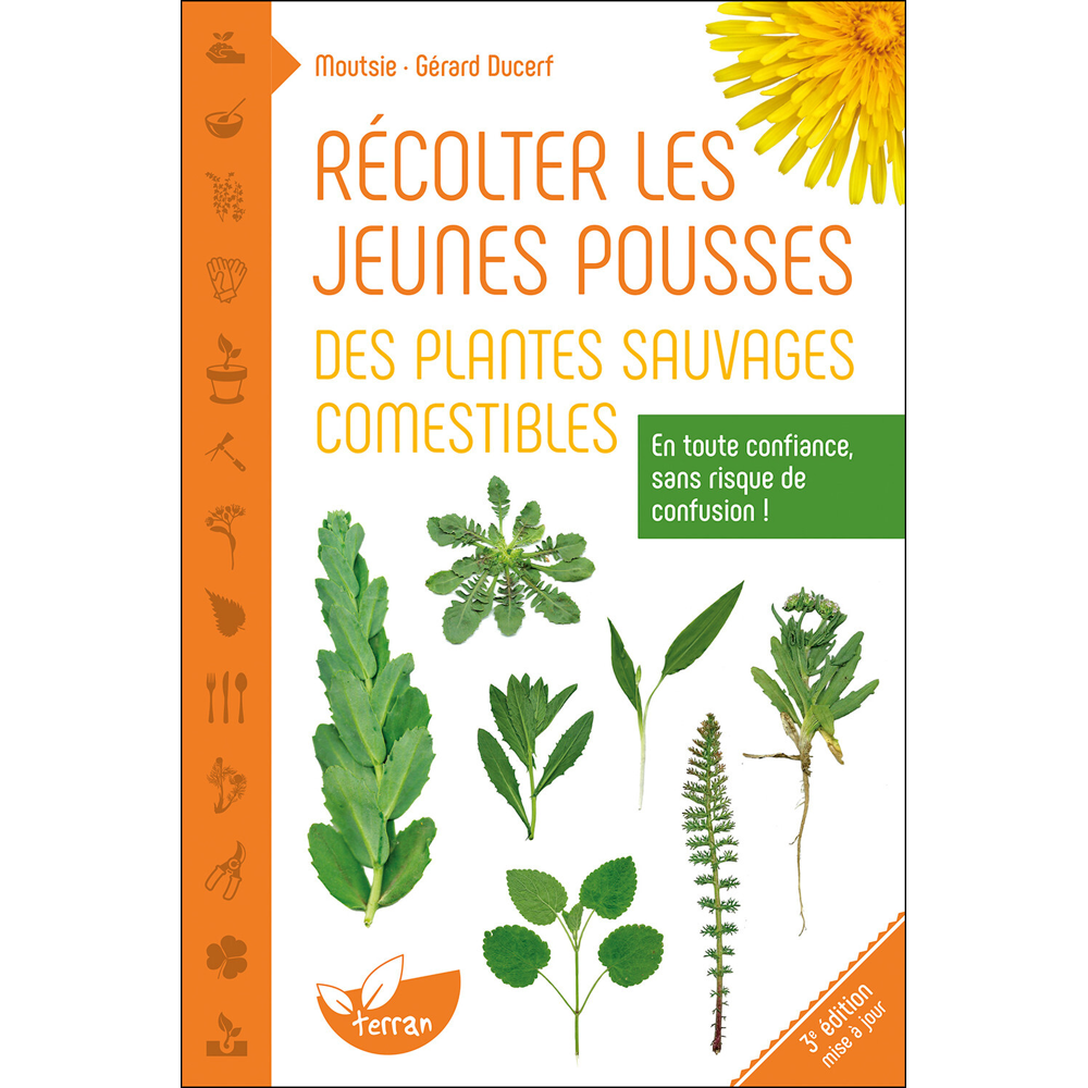 Récolter les jeunes pousses des plantes sauvages comestibles - En toute confiance, sans risque de co