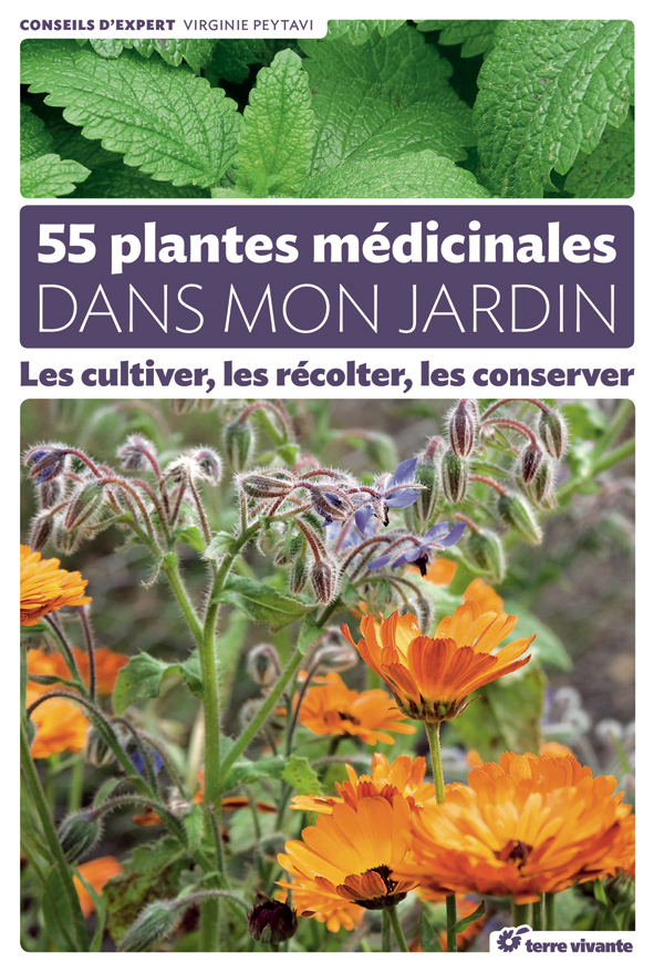 55 plantes médicinales dans mon jardin - Les cultiver, les récolter, les conserver (Broché)
