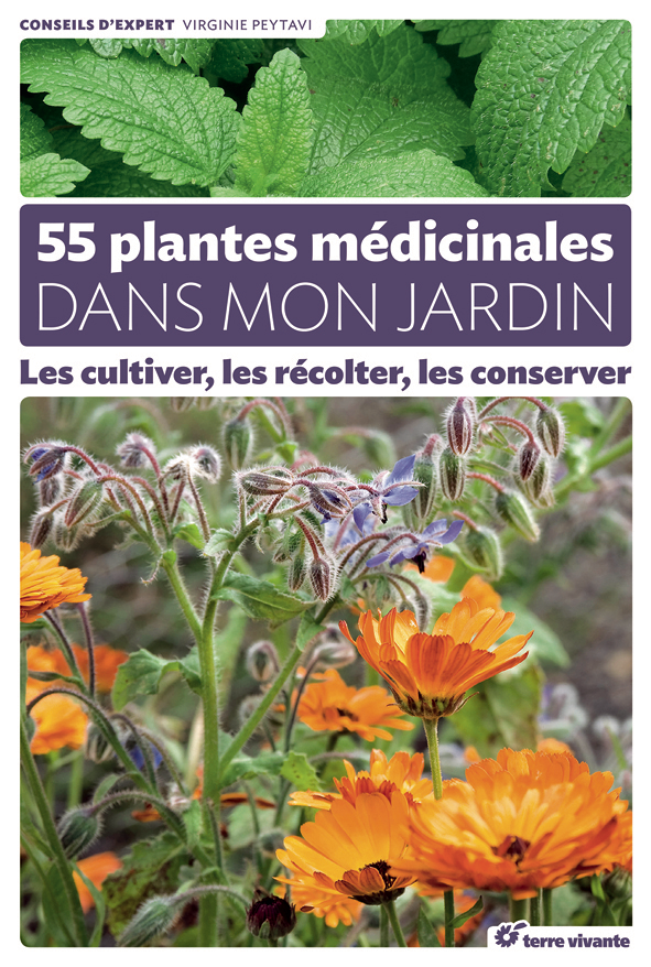 55 plantes médicinales dans mon jardin - Les cultiver, les récolter, les conserver (Broché)