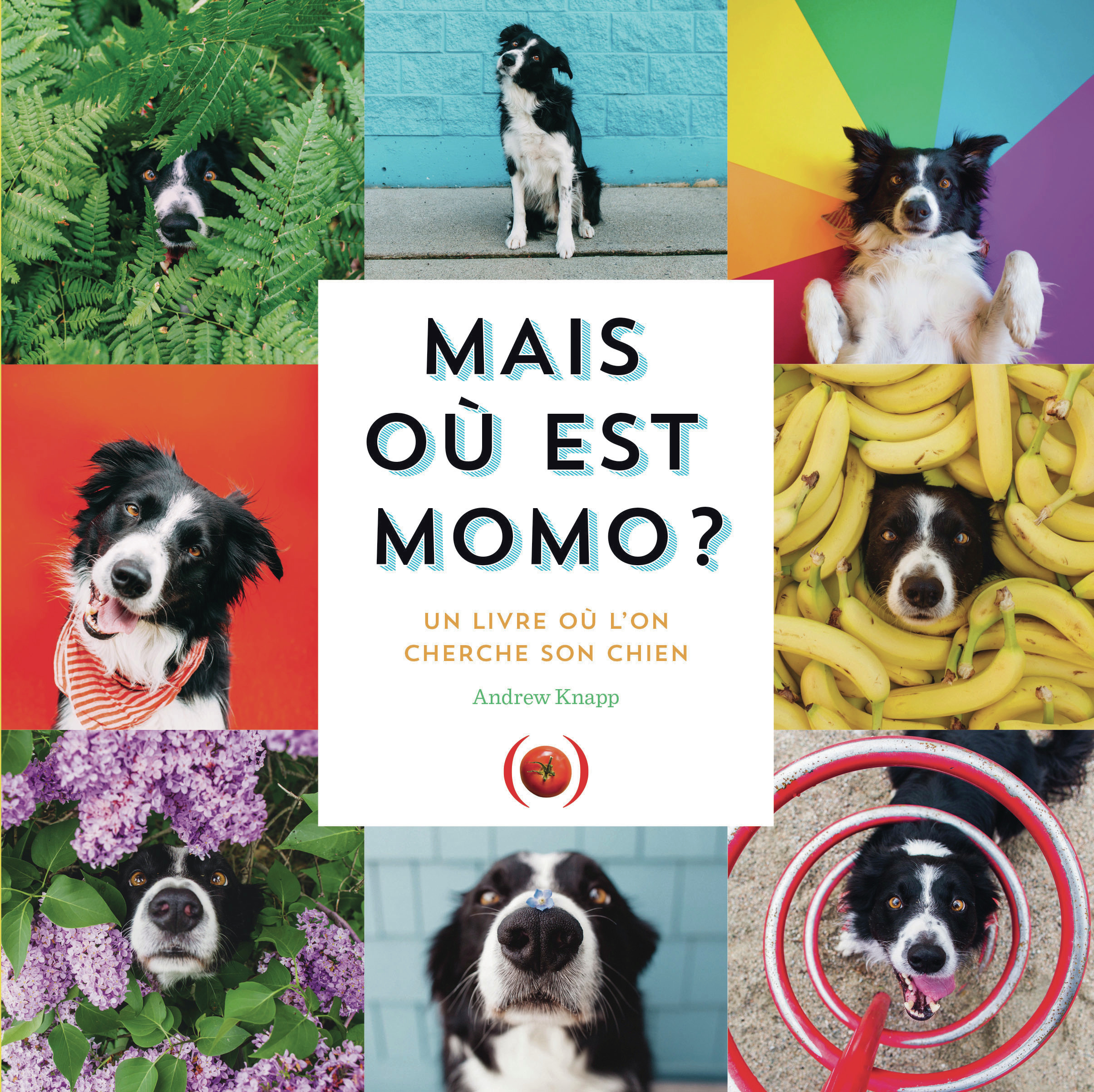 Mais où est Momo ? - Un livre où l'on cherche son chien (Jeunesse)