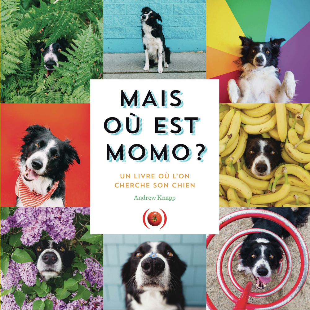 Mais où est Momo ? - Un livre où l'on cherche son chien (Jeunesse)