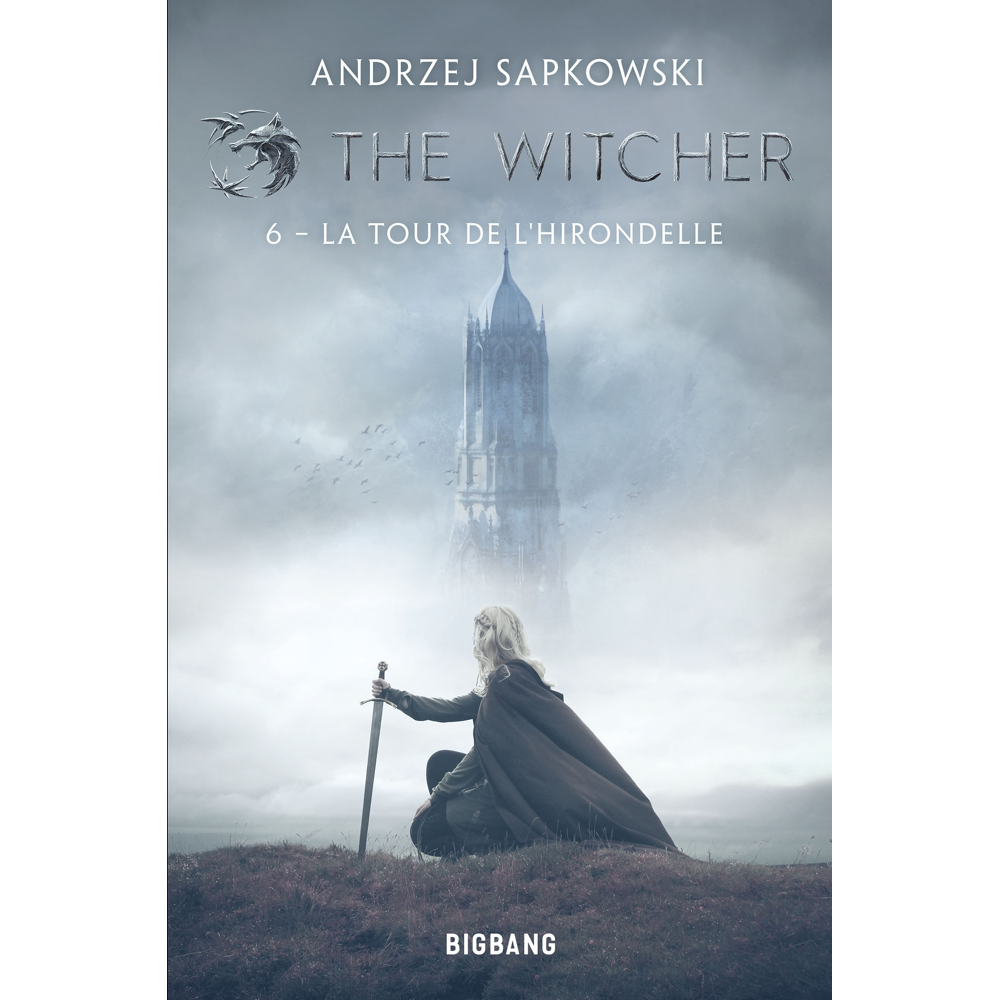 The Witcher (Sorceleur), Tome 6 : La Tour de l'Hirondelle (Grand format)