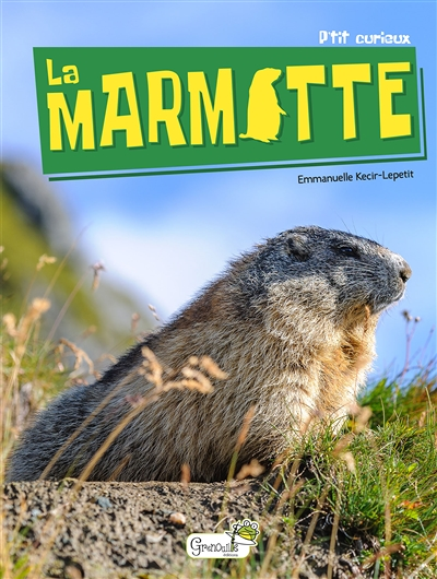 La Marmotte - Nouvelle Edition (Jeunesse)