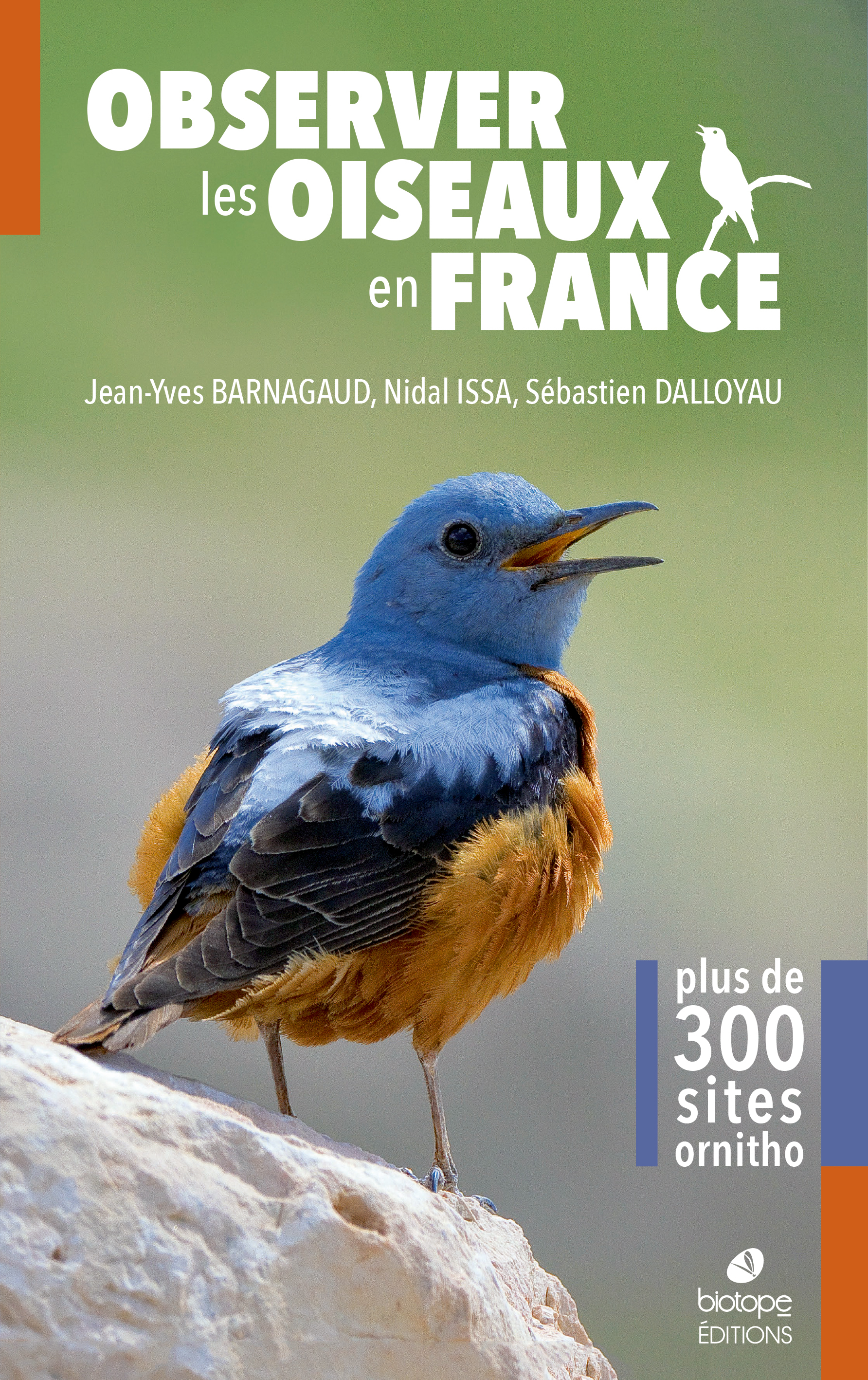 Observer les oiseaux en France - Plus de 300 spots ornitho (Broché)