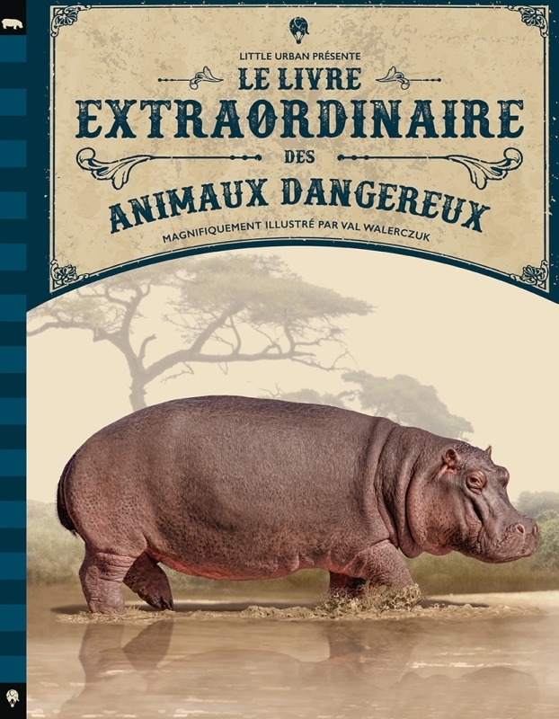 Le Livre extraordinaire des animaux dangereux (Jeunesse)