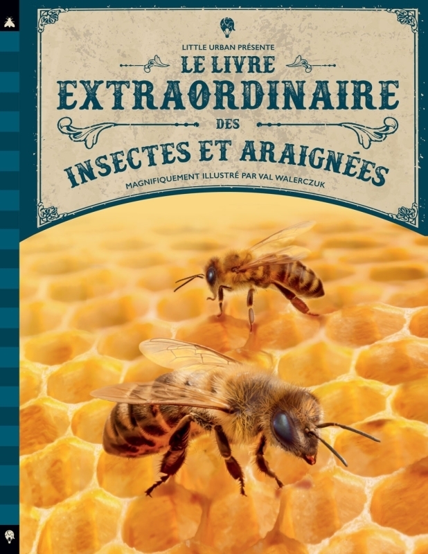 Le Livre extraordinaire des insectes et araignées (Jeunesse)