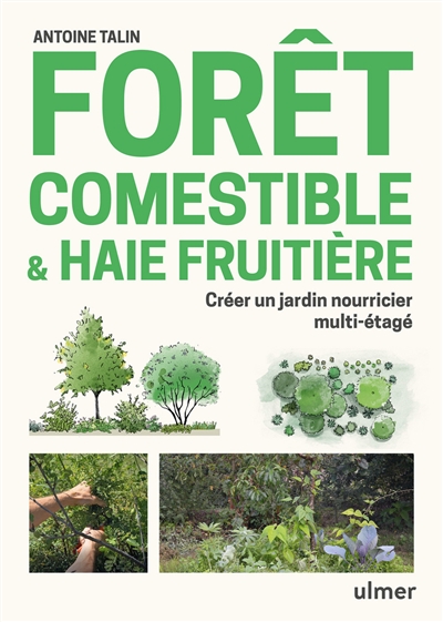 Forêt comestible & haie fruitière - Créer un jardin nourricier multi-étagé (Broché)