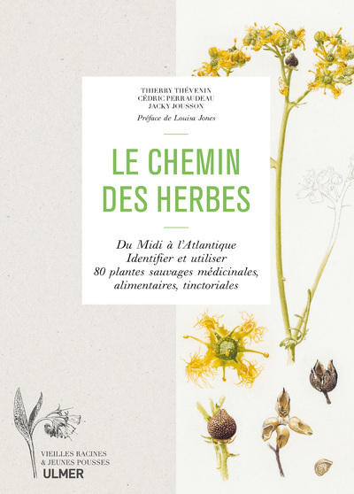 Le chemin des herbes - Du Midi à l'Atlantique : identifier et utiliser 80 plantes sauvages médicinal