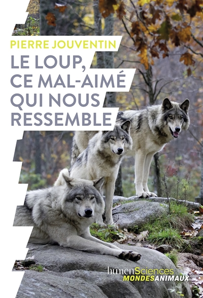 Le loup, ce mal-aimé qui nous ressemble (Broché)