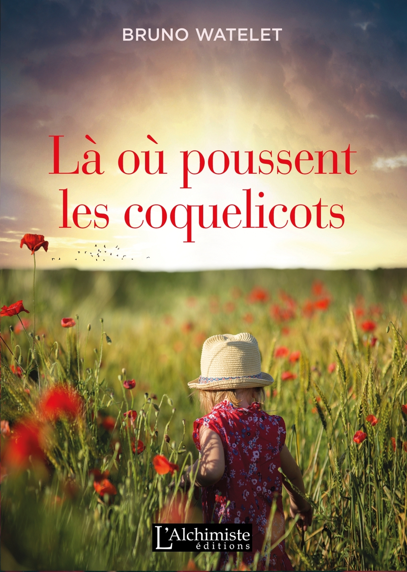 Là où poussent les coquelicots (Grand format)