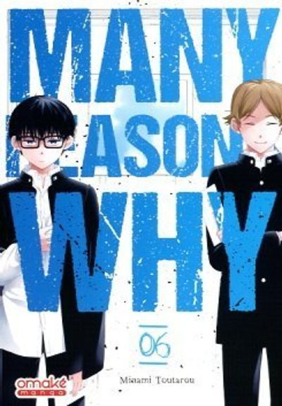 Many Reasons Why - Tome 6 (VF) (Manga)