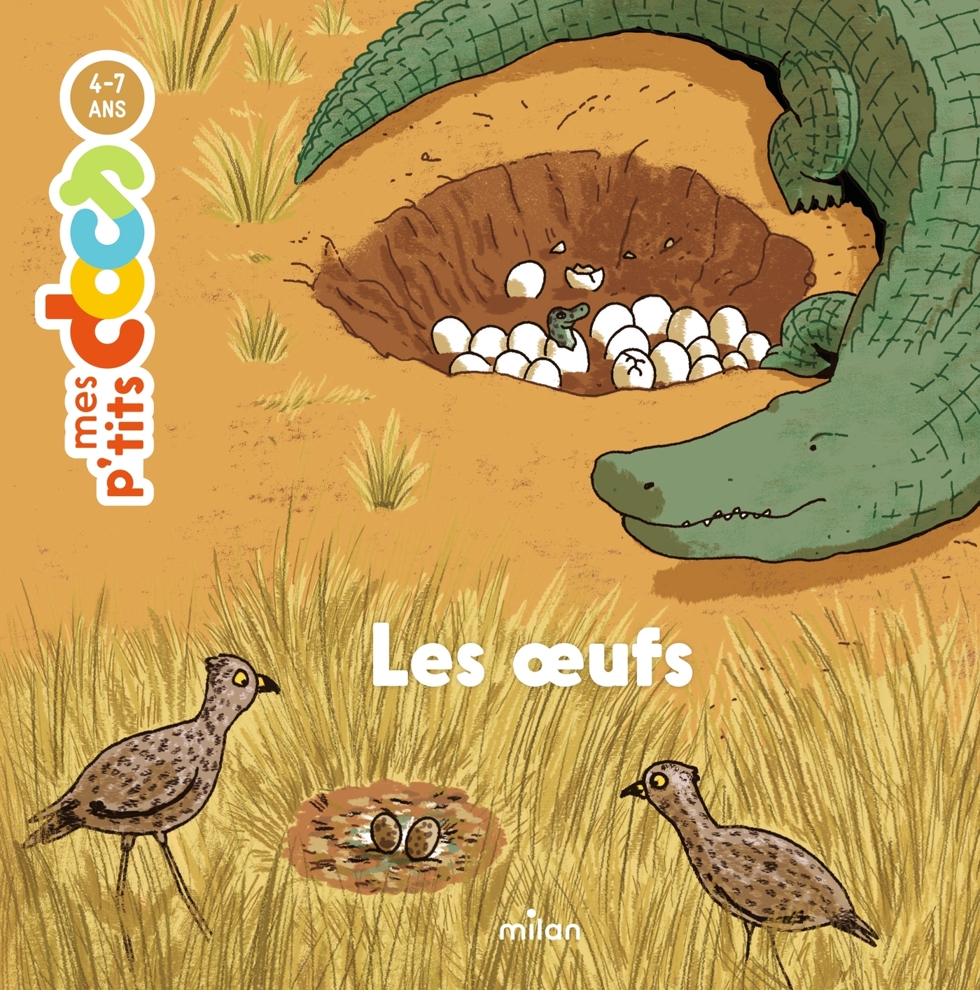 Les oeufs (Jeunesse)