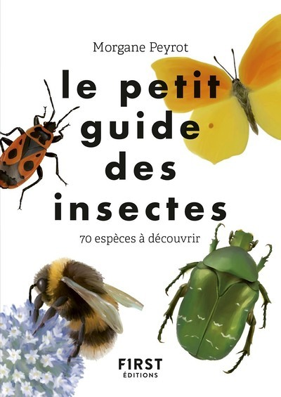 Le Petit guide des insectes (Broché)