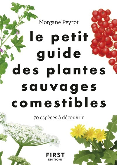 Le Petit guide des plantes sauvages comestibles (Broché)