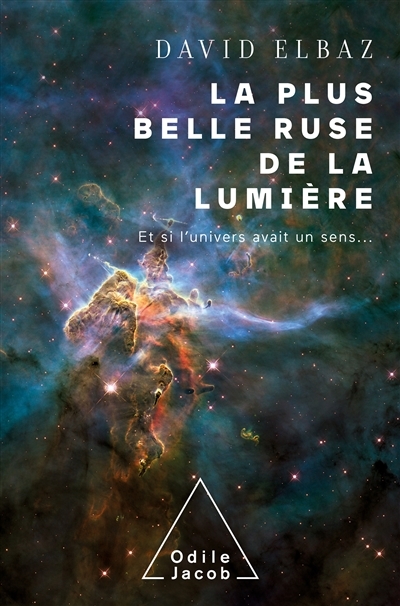 La plus belle ruse de la lumière (Broché)