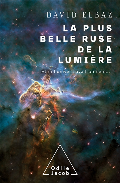 La plus belle ruse de la lumière (Broché)