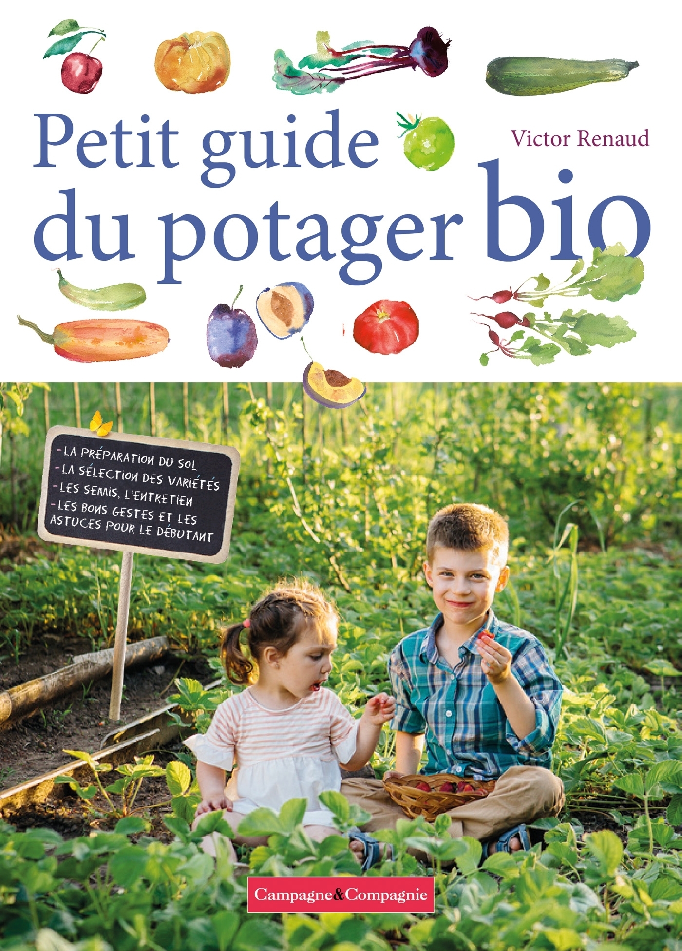 Petit guide du potager bio (Broché)
