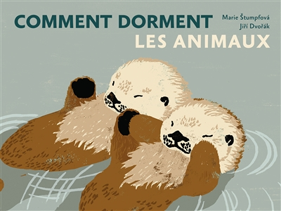 Comment dorment les animaux (Cartonné)