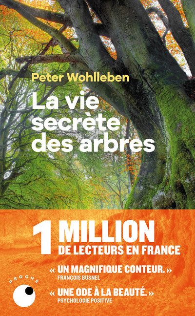 La Vie secrète des arbres (Poche)