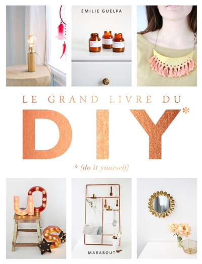 Le grand livre des DIY* *(Do it yourself) - La bible de toutes les techniques (Relié)