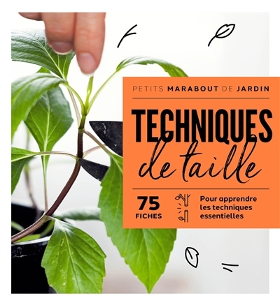 Techniques de taille (Broché)