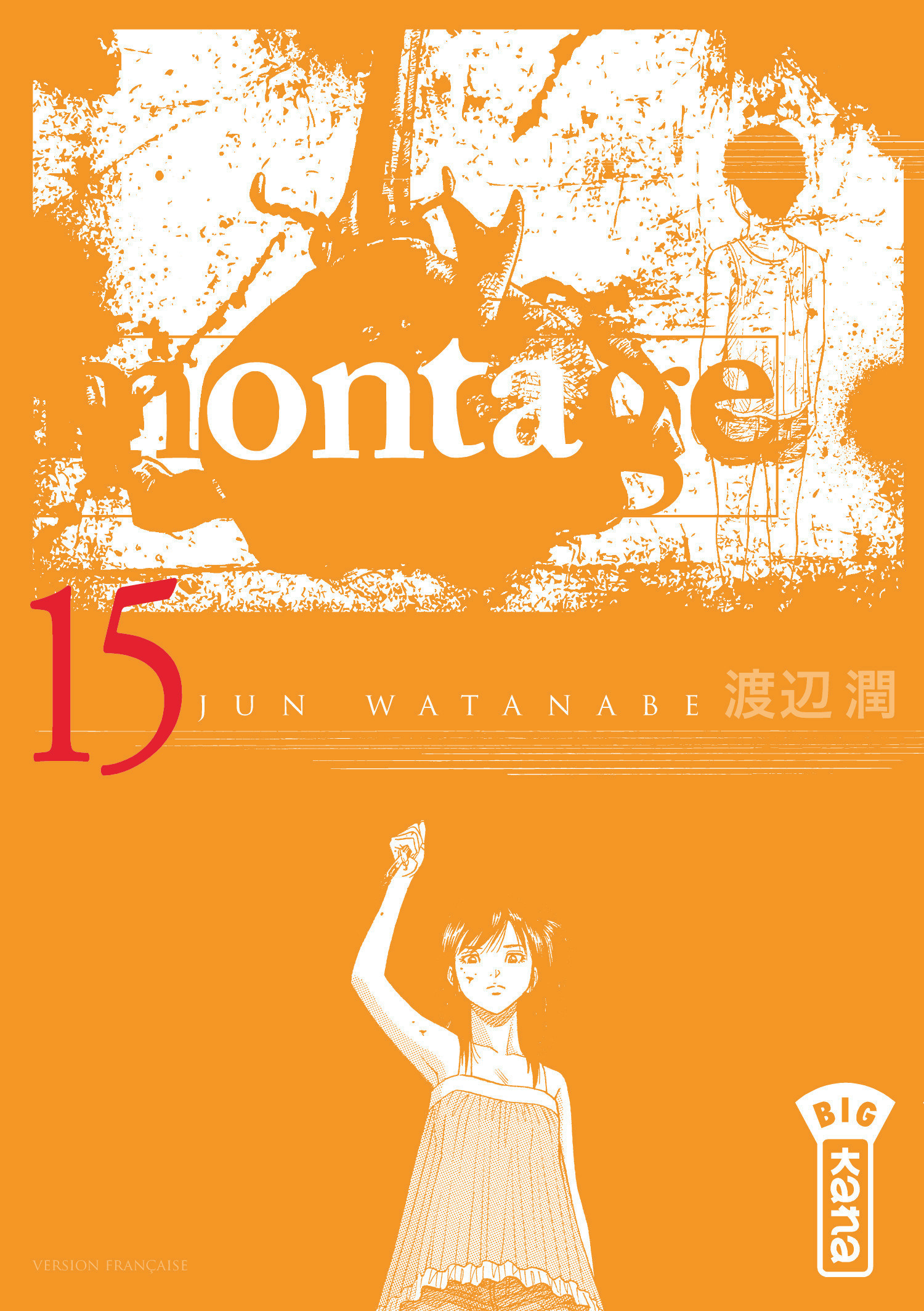 Montage - Tome 15 (Manga)