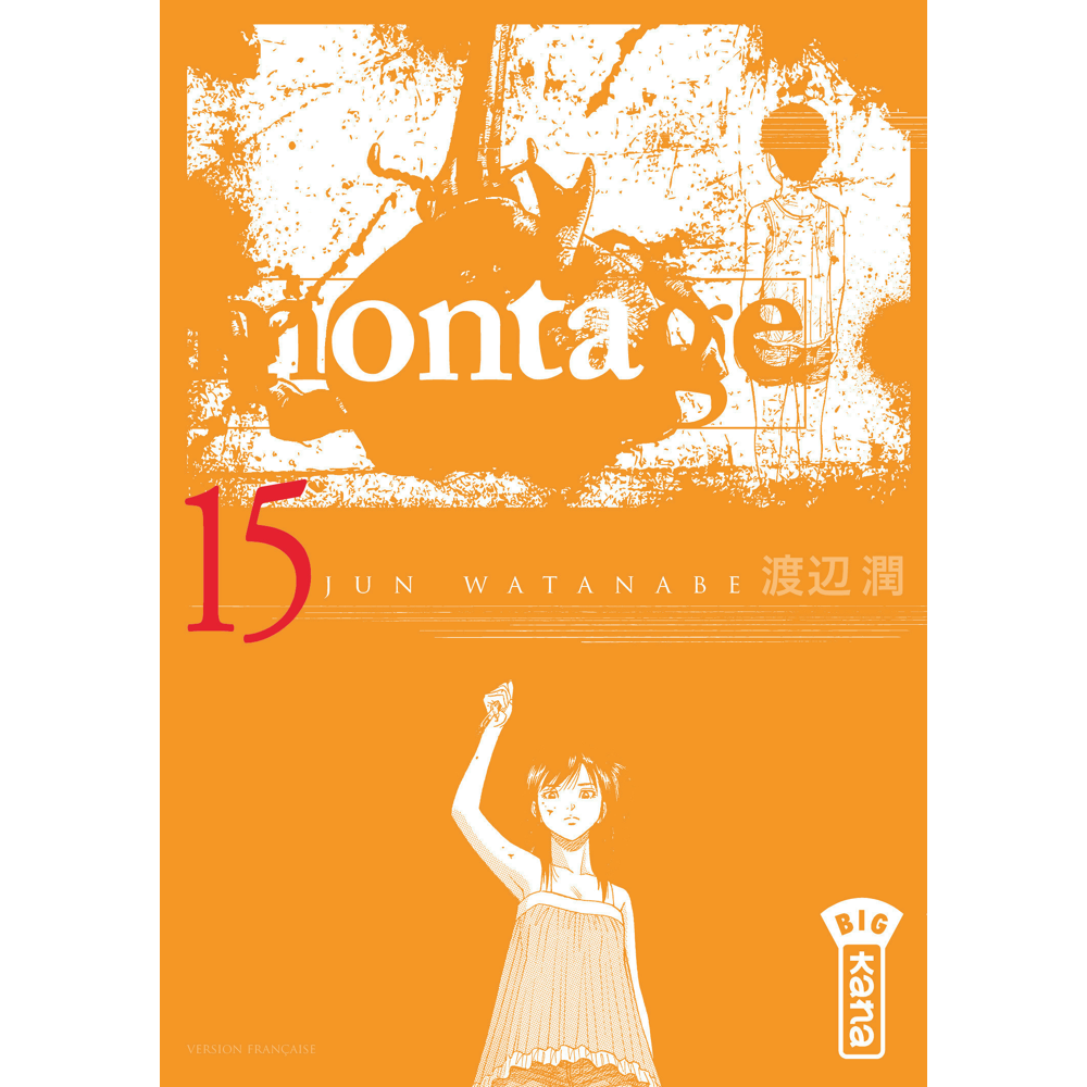 Montage - Tome 15 (Manga)