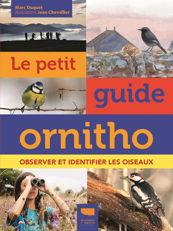 Le Petit guide ornitho (Nouvelle édition enrichie) - Observer et identifier les oiseaux (Jeunesse)