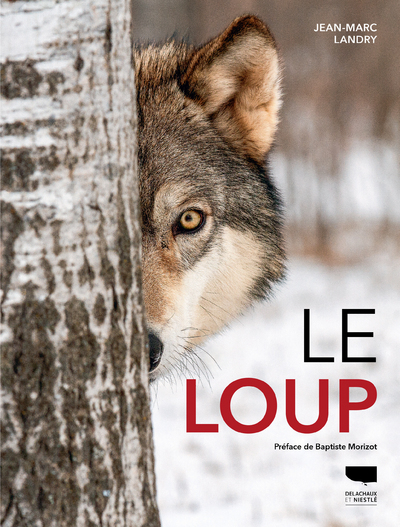 Le Loup (Relié)