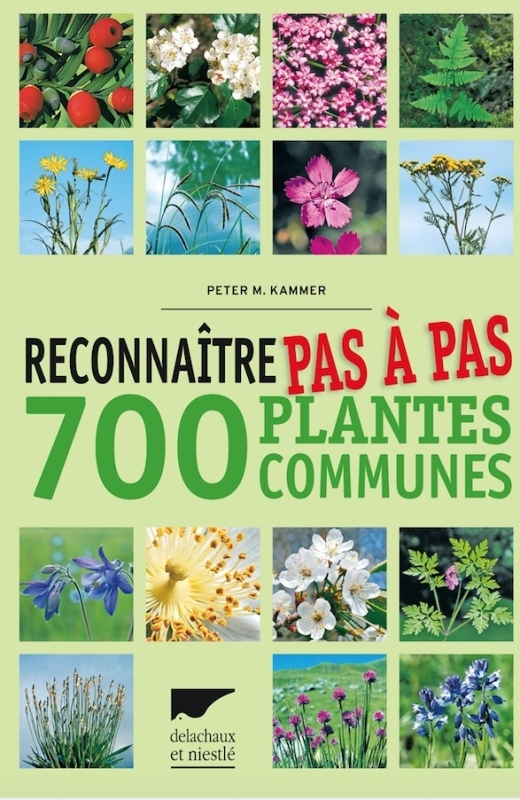 Reconnaître pas à pas 700 plantes communes (Broché)