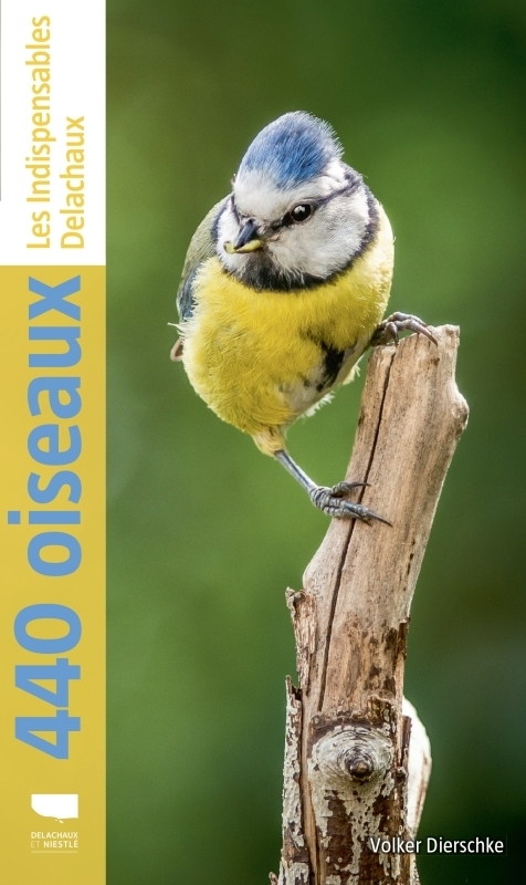 440 oiseaux (nvelle éd) (Broché)