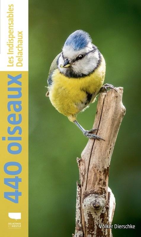 440 oiseaux (nvelle éd) (Broché)