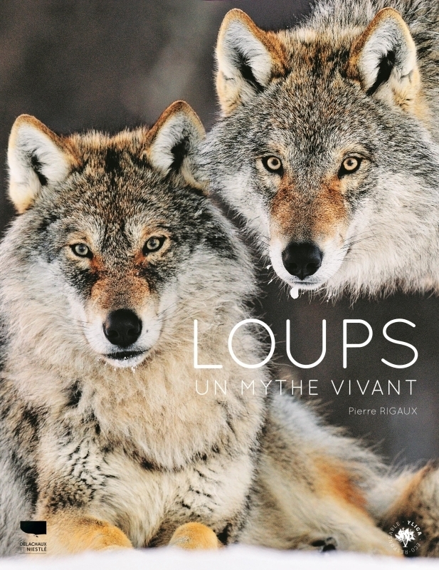 Loups - un mythe vivant (Broché)