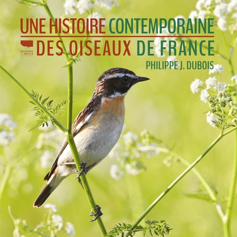 Une histoire contemporaine des oiseaux de France (Broché)