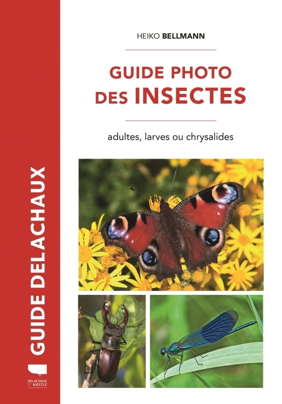 Guide photo des insectes - Adultes, larves ou chrysalides (Relié)