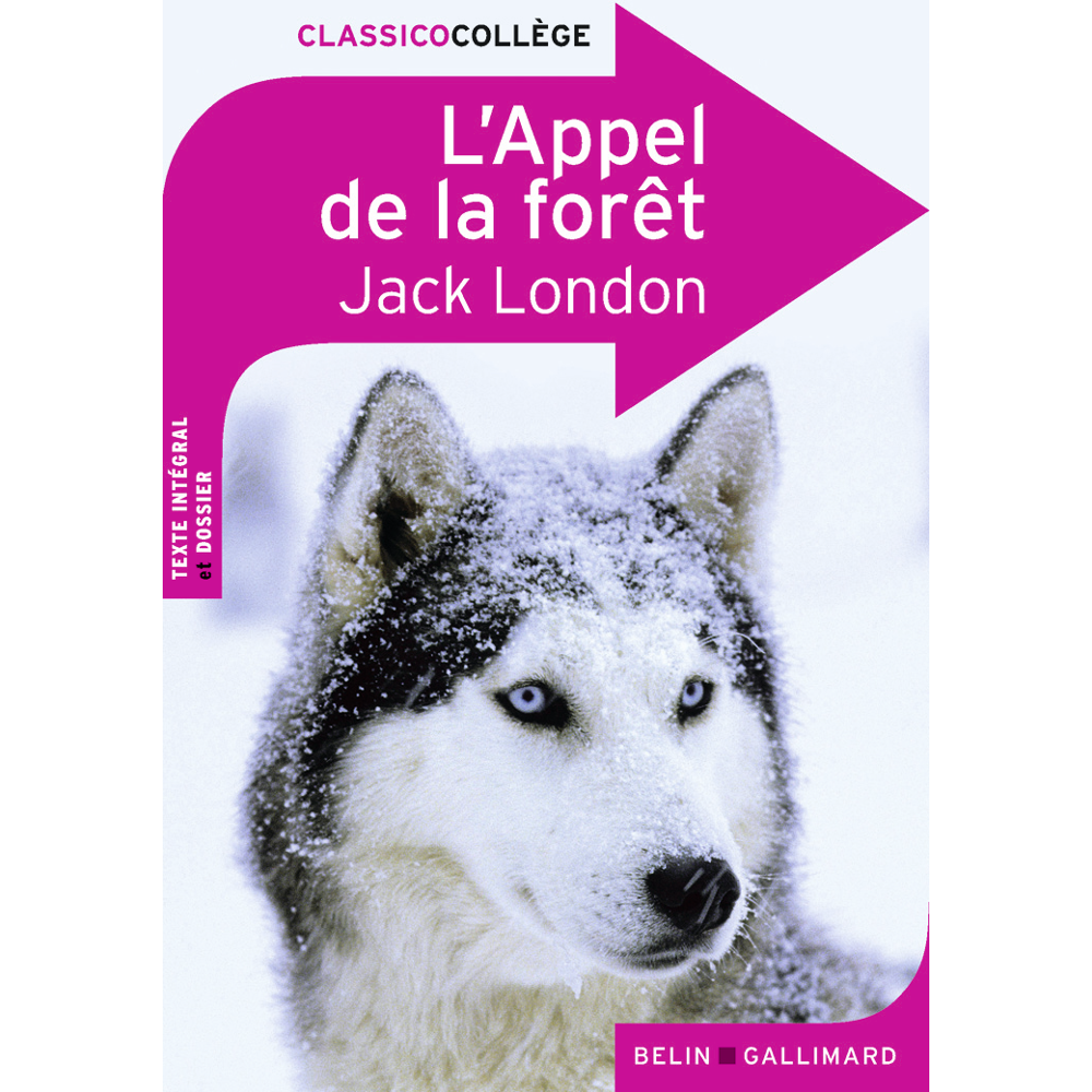L'Appel de la forêt (Broché)