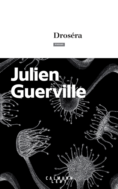 Droséra (Grand format)